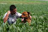 ENFANT ET CHIEN 375
